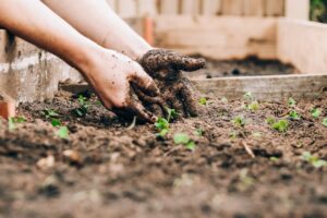 The Ultimate Guide to Gardening for People with Disabilities