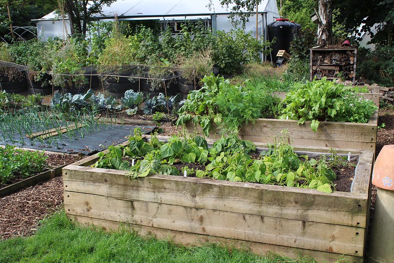High raised beds for wheelchair access. Image courtesy of Local Food Initiative via Flickr.