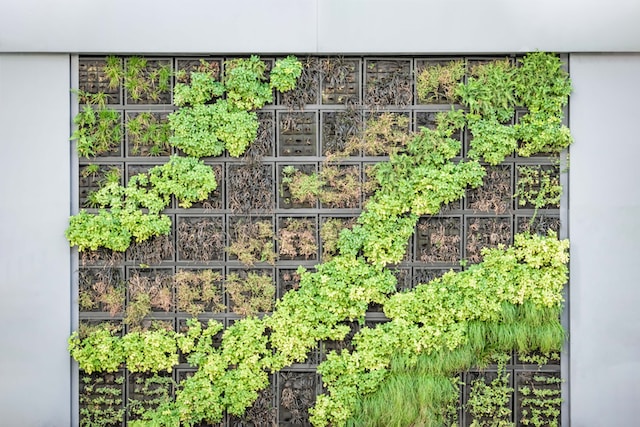 Vertical Gardens and How to Create Them