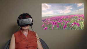 VR Gardening Experiences for all abilities